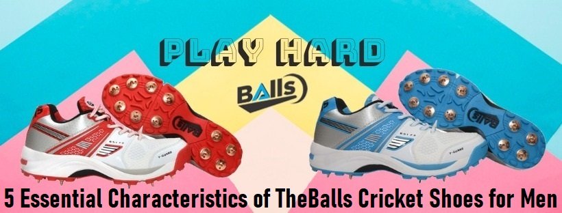 Cricket Shoes for Men
